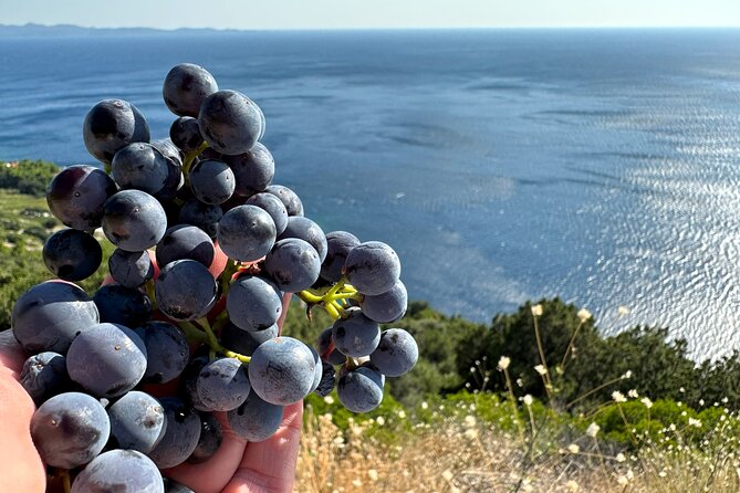 Dubrovnik Private Wine Tasting Tour to Peljesac Peninsula - Trstenik Bay gives the day room to breathe