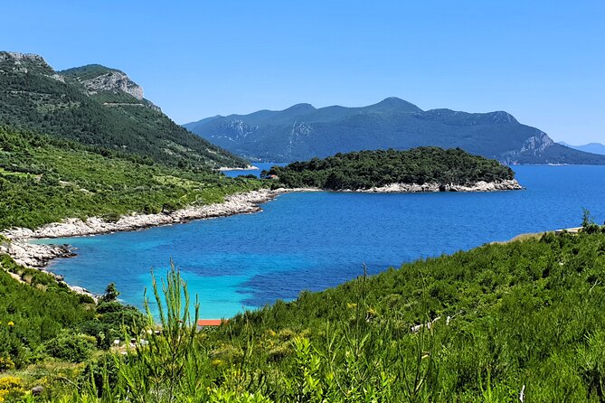 Dubrovnik Private Wine Tasting Tour to Peljesac Peninsula - Matuško Winery brings a larger cellar finish