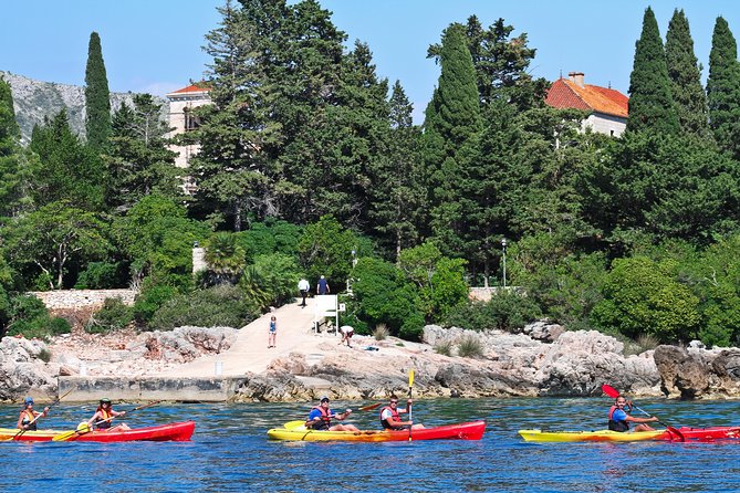 Dubrovnik: Sea Kayaking & Snorkeling Tour - Practical preparation for a smoother outing