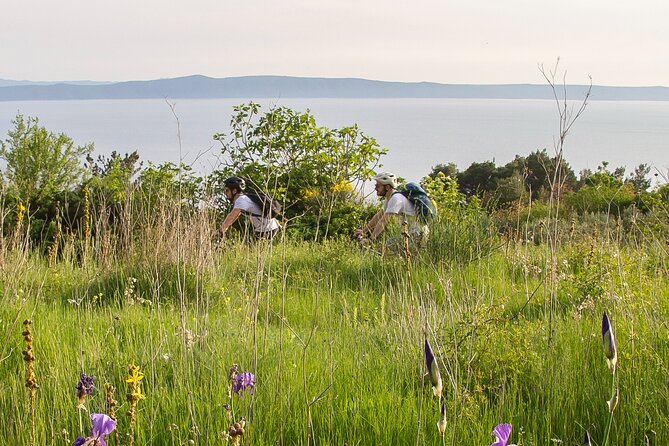E-Bike Tour at Historical Villages of Makarska - Is $75.19 a fair price?