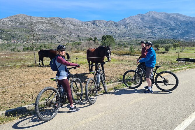 E-Bike Tour + Gourmet Lunch + Wine Tasting (Small Group) - What $226.88 buys you