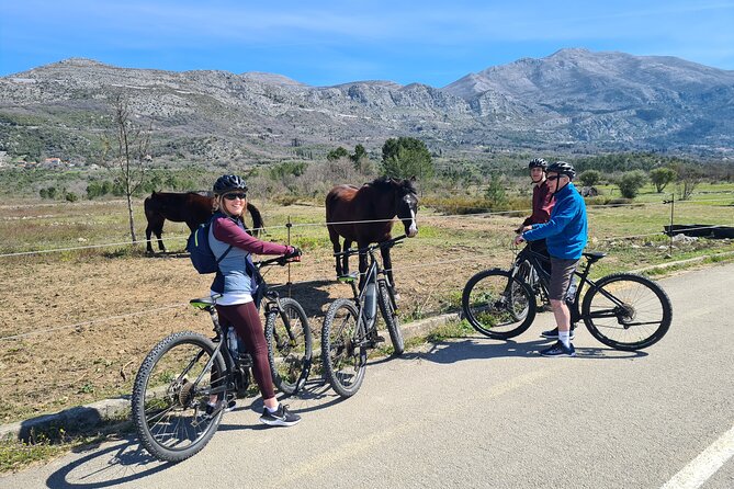 E-Bike Tour + Gourmet Snack + Wine Tasting (Small Group) - What riding the e-bikes is really like