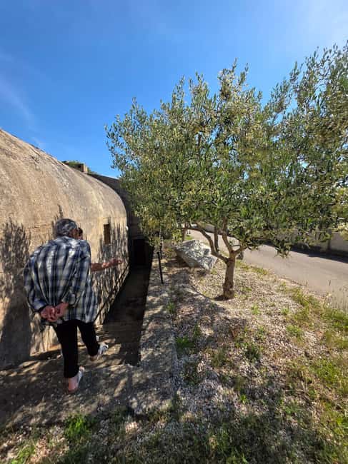 Eco tuk tuk Highlights of Zadar - What the driver adds to the outing