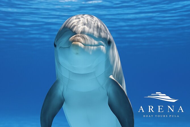 Fantastic DOLPHIN & SUNSET TOUR with dinner ( Pula-NP BRIJUNI ) - From Pula Harbour toward the Brijuni Islands
