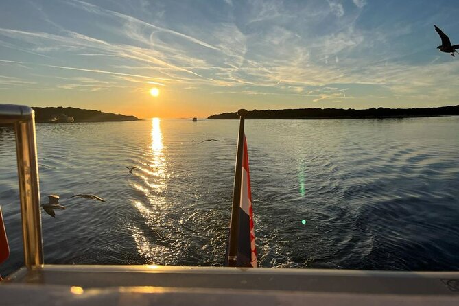 Fantastic DOLPHIN & SUNSET TOUR with dinner ( Pula-NP BRIJUNI ) - The dolphin zone: exciting, but never guaranteed