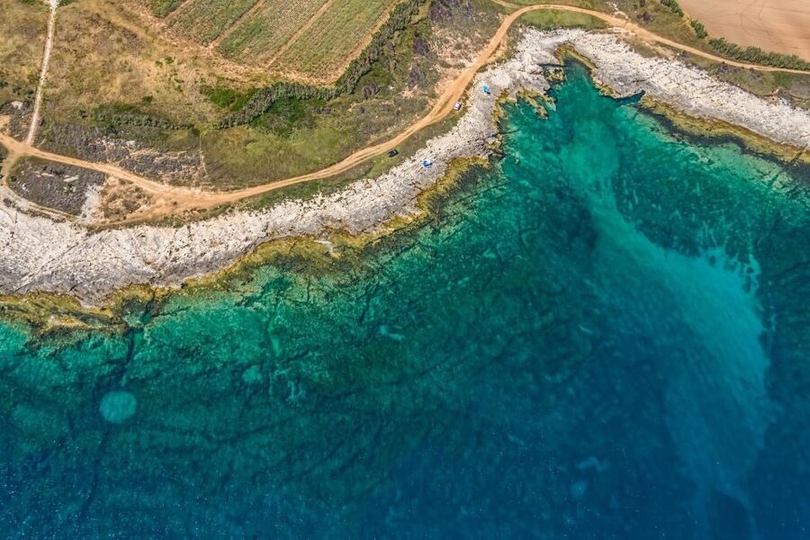 Fazana: Brijuni National Park Scenic Boat Tour - Veliki Brijun, the largest island