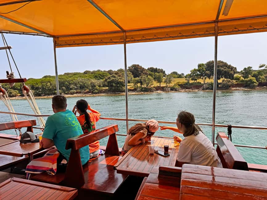 Fazana: Dolphin Finder in Brijuni islands Safari with Dinner - Is the dolphin safari worth booking?