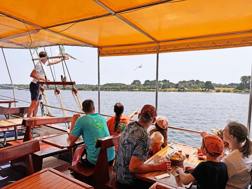 Fazana: Dolphin Finder in Brijuni islands Safari with Dinner - Cruising toward Brijuni National Park
