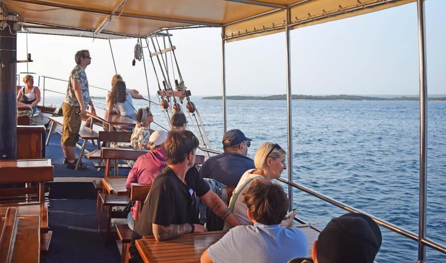 Fazana: Dolphin Finder in Brijuni islands Safari with Dinner - Watching for bottlenose dolphins in open water
