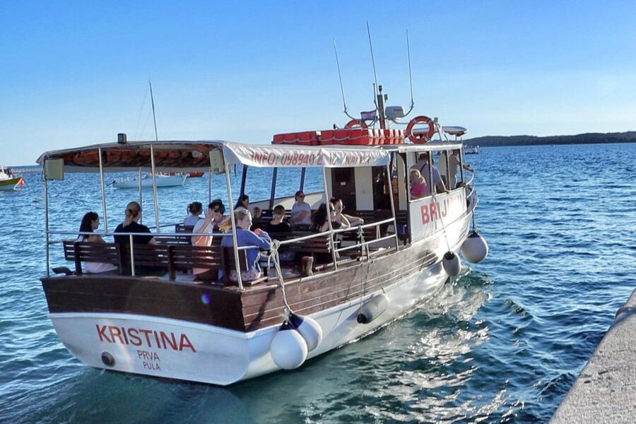 Fazana: Guided Dolphin Watching Sightseeing Cruise at Sunset - Key points to know before you book