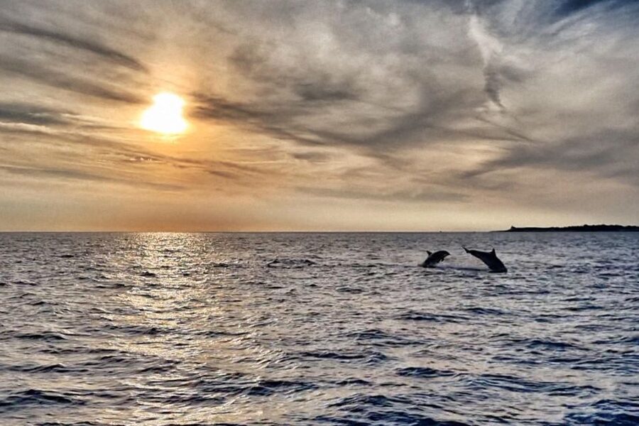 Fazana: Guided Dolphin Watching Sightseeing Cruise at Sunset - Cruising toward Brijuni National Park