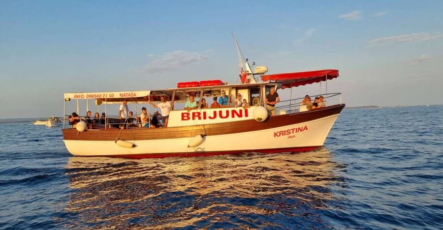 Fazana: Guided Dolphin Watching Sightseeing Cruise at Sunset - Timing, weather, and what to bring