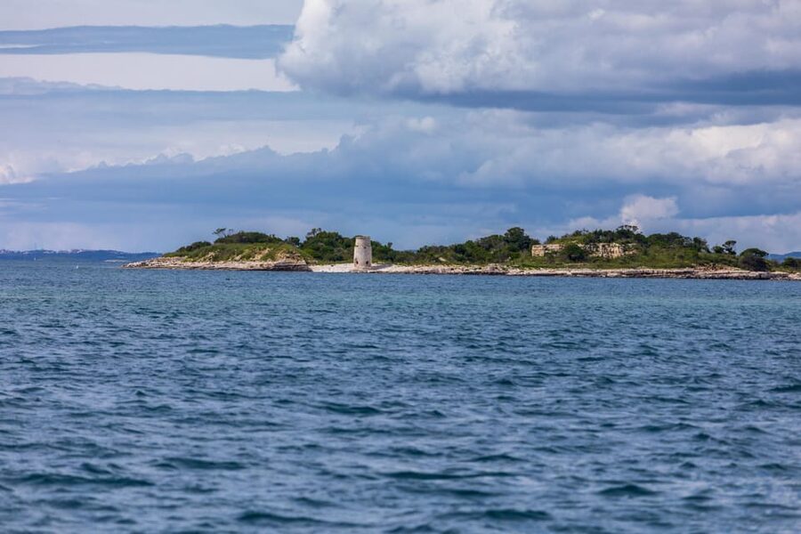 Fažana: Sail like a president with Brijuni Panorama - Dolphin watching and the value of looking around