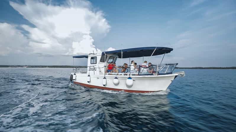 Fažana: Sail like a president with Brijuni Panorama - Seeing the Brijuni archipelago from the water