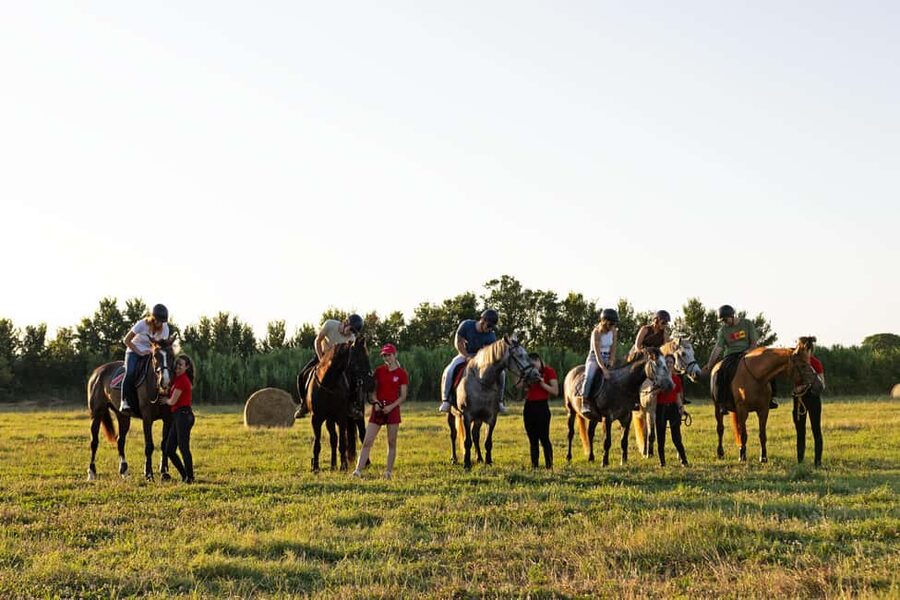 Fazana: Sunset 1-hour Horse Riding in Nature with Guide - Pine woods, birds, and the first part of the ride