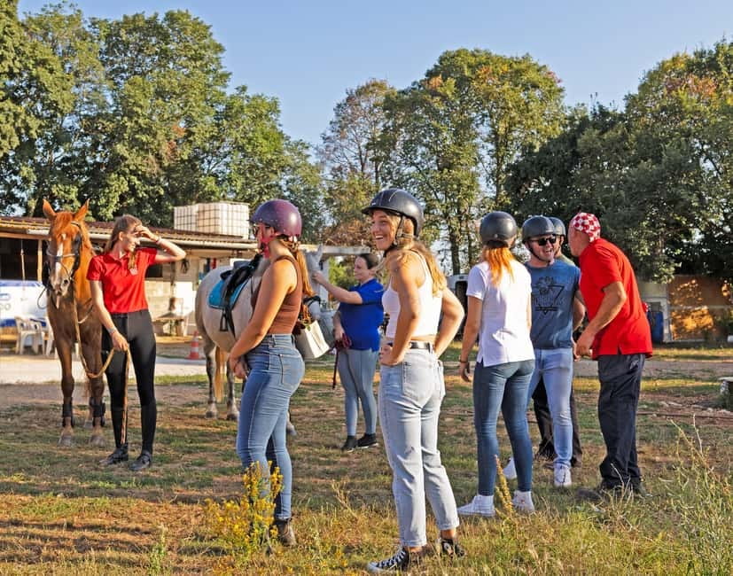 Fazana: Sunset 1-hour Horse Riding in Nature with Guide - Olive groves and a taste of rural Istria