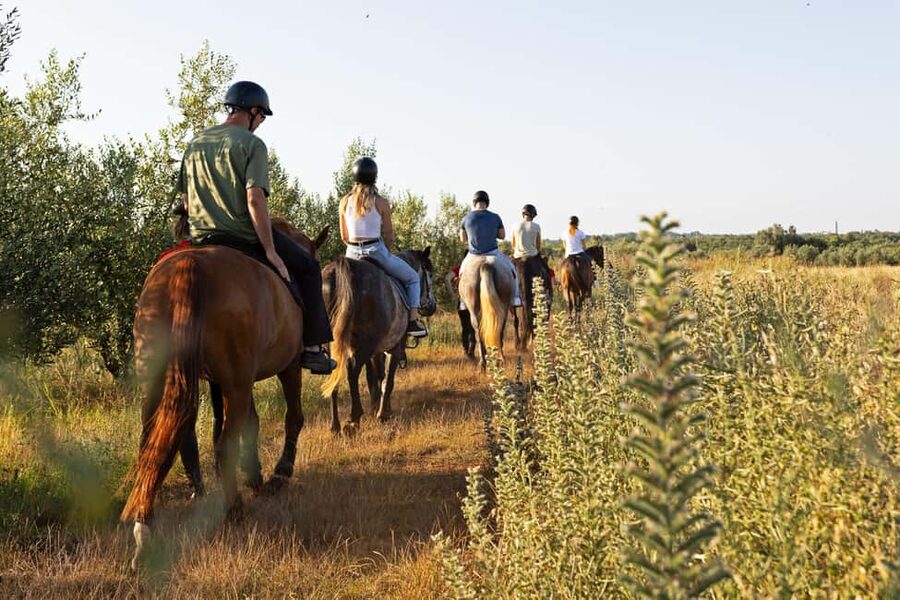 Fazana: Sunset 1-hour Horse Riding in Nature with Guide - The scenic photo stop before returning