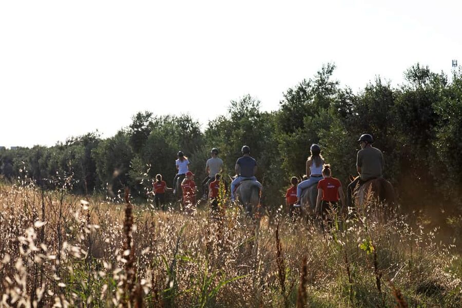 Fazana: Sunset 1-hour Horse Riding in Nature with Guide - Who will enjoy this Fažana ride most