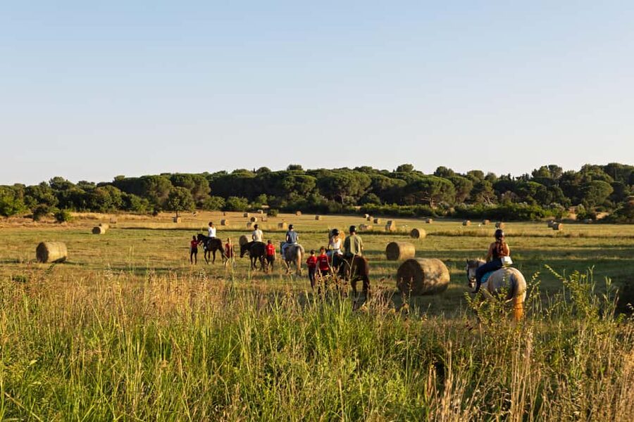 Fazana: Sunset 1-hour Horse Riding in Nature with Guide - Matching you with a calm horse