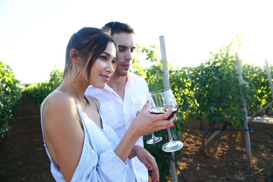 From Biograd: Wine and Olive Oil Tasting in Ražnjevića Dvori - Key points about the Ražnjevića Dvori visit