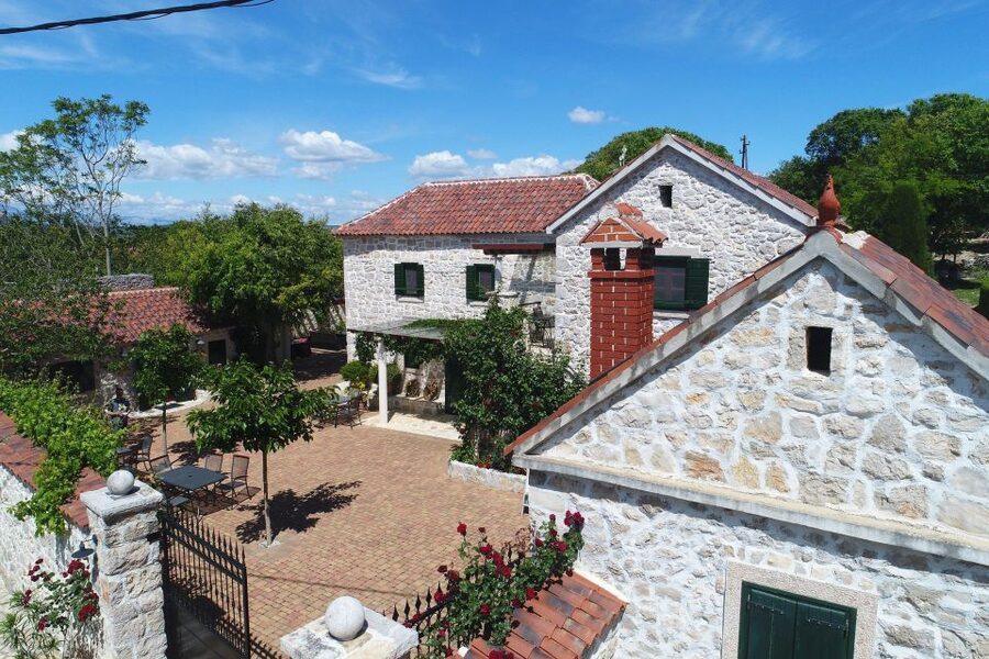 From Biograd: Wine and Olive Oil Tasting in Ražnjevića Dvori - Four wines and the Zinfandel connection