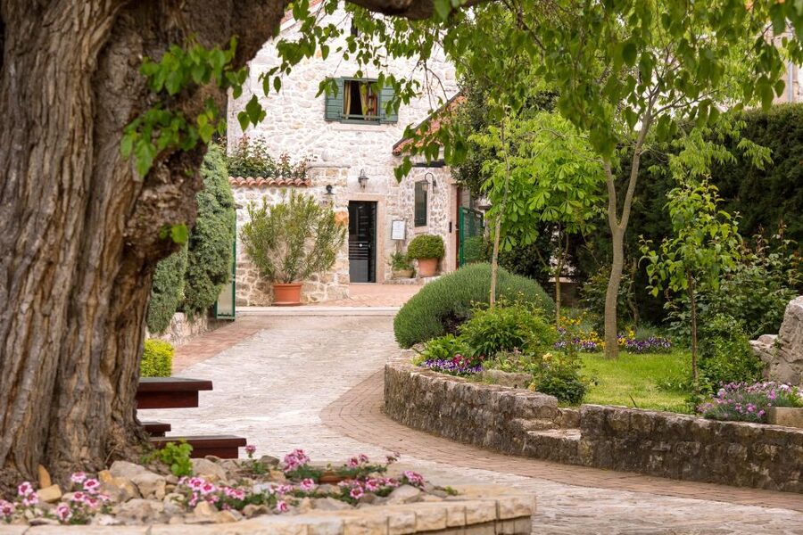 From Biograd: Wine and Olive Oil Tasting in Ražnjevića Dvori - Timing, transport, and small practical details