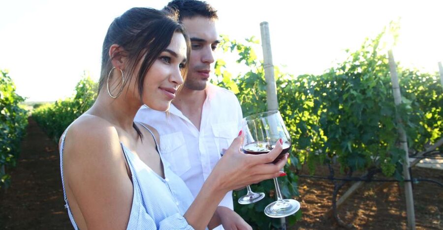 From Biograd: Wine and Olive Oil Tasting in Ražnjevića Dvori - Ražnjevića Dvori and its 16th-century setting