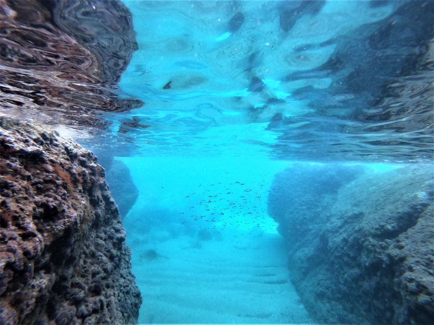 From Dubrovnik: 4-hour Elafiti Islands Private Boat Tour - How much can you really do in four hours?