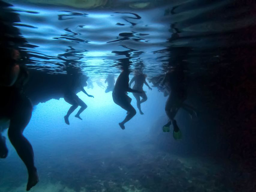 From Dubrovnik/Cavtat: Blue Cave, Sunj Beach Speed Boat Tour - Key points at a glance