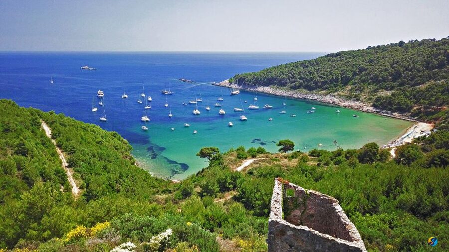 From Dubrovnik: Full-Day Private Boat Tour of Elafiti Island - Key points to know before booking