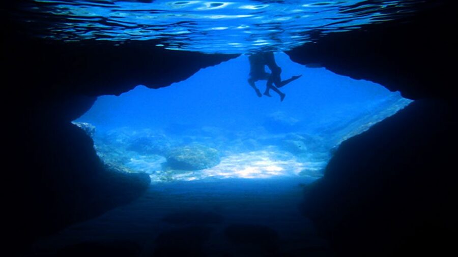 From Dubrovnik: Full-Day Private Boat Tour of Elafiti Island - What the $470 price really buys