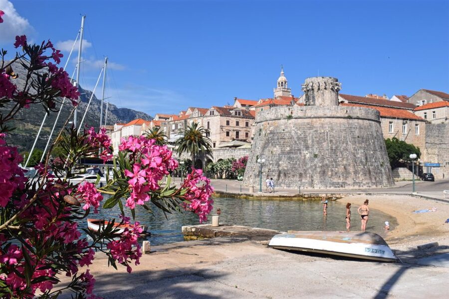 From Dubrovnik: Guided Tour of Pelješac & Korčula - Who should book this Pelješac and Korčula tour?