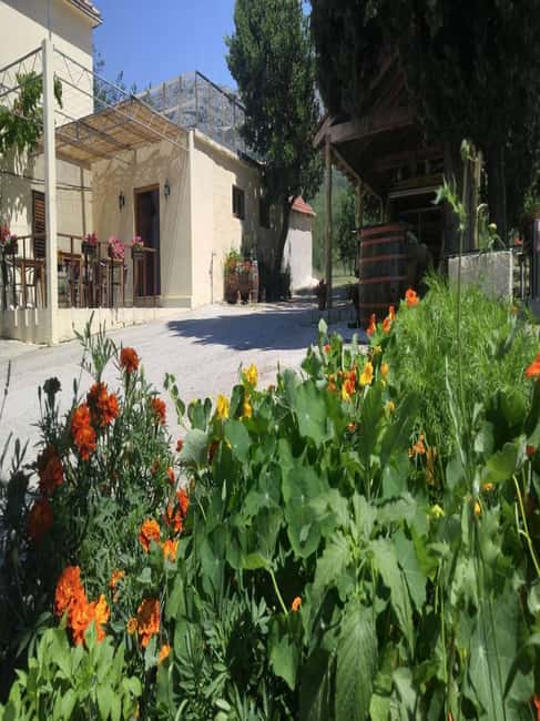 From Dubrovnik: Half-Day Wine Tasting and Cavtat City Tour - Key points at a glance