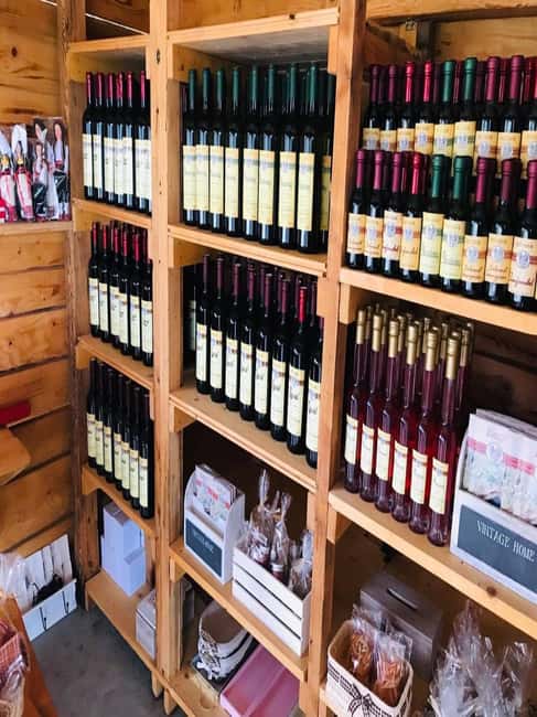 From Dubrovnik: Half-Day Wine Tasting and Cavtat City Tour - A family winery, not a polished tasting room