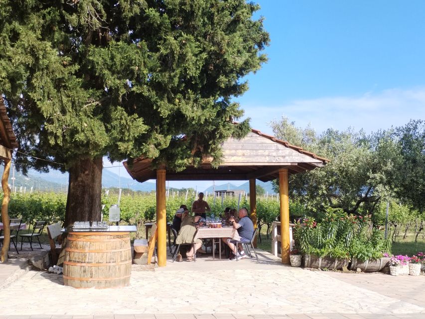 From Dubrovnik: Half-Day Wine Tasting and Cavtat City Tour - Who will enjoy this half-day outing?