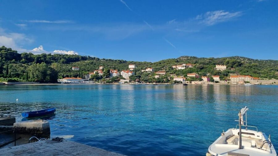 From Dubrovnik: Hop-On-Hop-Off Elaphiti Islands Boat Tour - Who should book it?