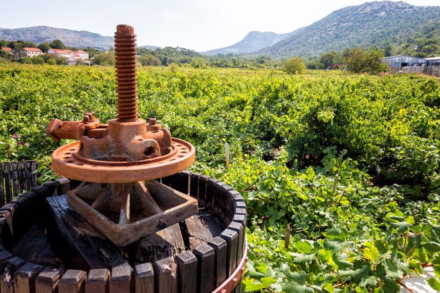 From Dubrovnik: Island of Korčula with wine tasting - From Dubrovnik to the salt ponds of Ston