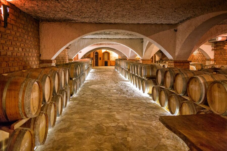 From Dubrovnik: Island of Korčula with wine tasting - Wine tasting at Bartulović family winery
