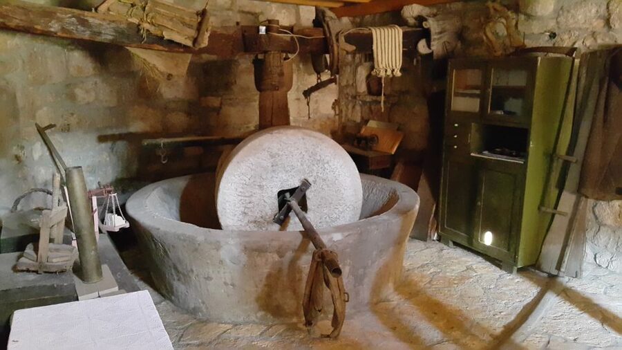 From Dubrovnik: Majkovi Village and Ston Private Food Tour - Trsteno Botanical Garden and the 1492 Renaissance setting