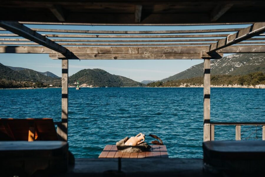 From Dubrovnik: Mali Ston Oyster Paradise Tour with Transfer - From Dubrovnik to the old walls of Ston
