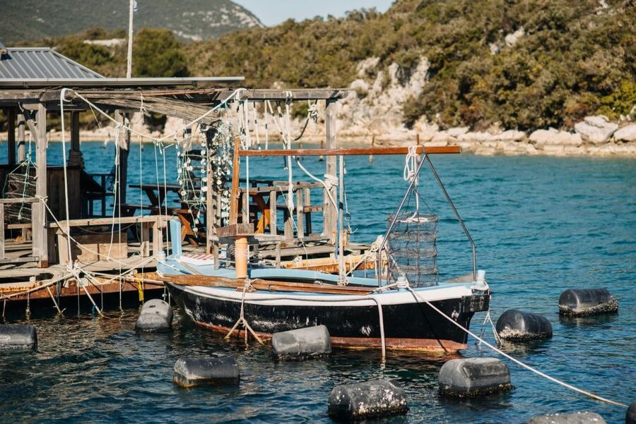 From Dubrovnik: Mali Ston Oyster Paradise Tour with Transfer - Who will enjoy this half-day trip
