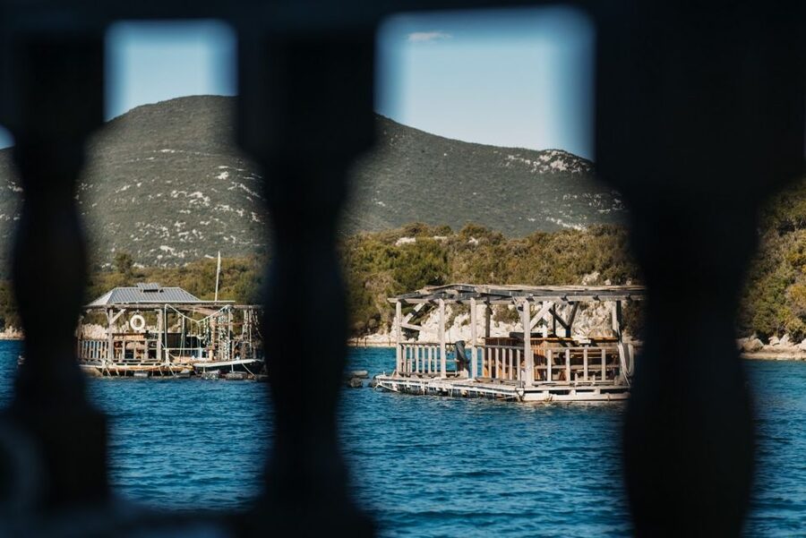 From Dubrovnik: Mali Ston Oyster Paradise Tour with Transfer - Should you book the Mali Ston oyster tour?