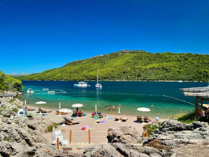 From Dubrovnik: Mljet National Park & Elaphiti Islands Trip - Odysseus Cave and the choice to jump
