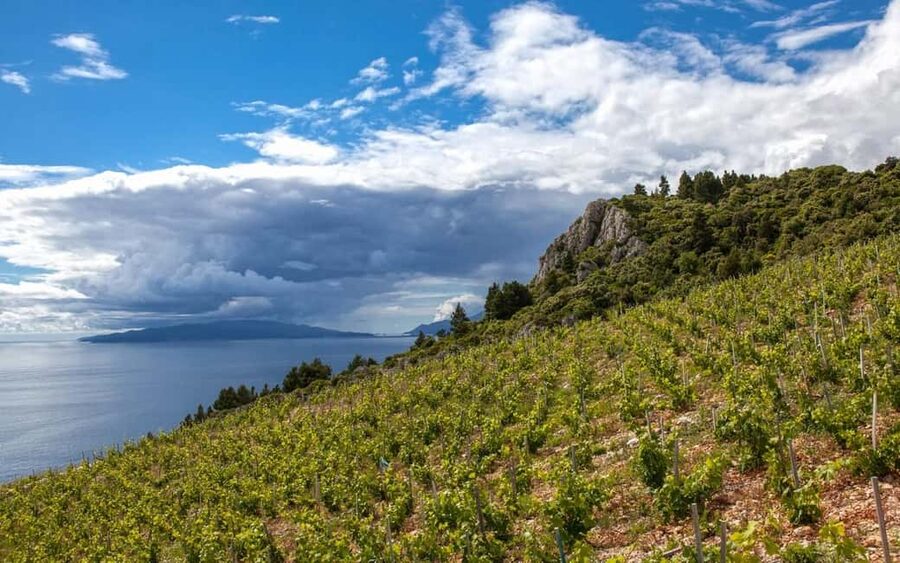 From Dubrovnik Private tour to Korčula Island - Pelješac Wine Country and the Dingač Tunnel