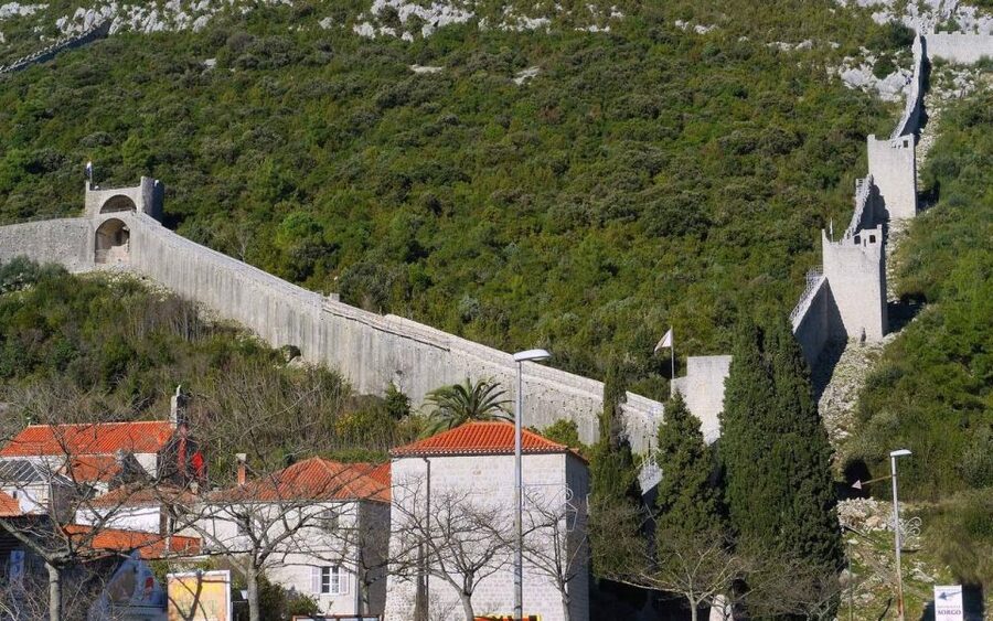 From Dubrovnik Private tour to Korčula Island - Who Will Get the Most From This Tour