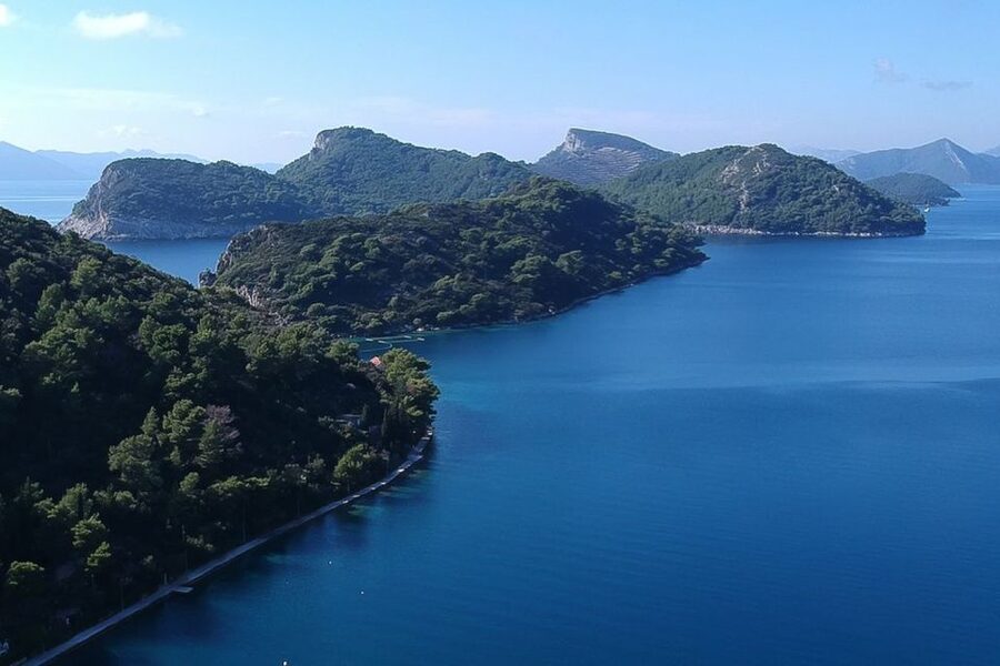 From Dubrovnik: Pvt Speedboat Cruise to Mljet&Sipanska Luka - Who should book this Mljet and Sipan trip