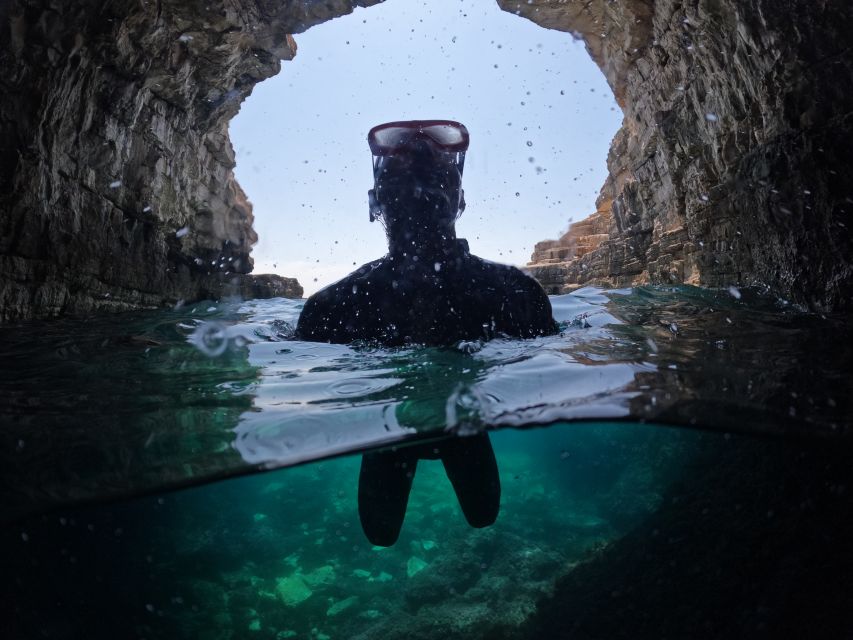 From Fazana: Dolphin watching and snorkeling in Blue Cave - Why the private group changes the value