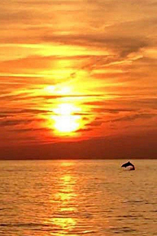 From Fazana: Dolphin watching sightseeing cruise at sunset - Cruising around Brijuni National Park