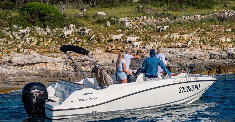 From Fažana: Private boat tour of Brijuni Islands - Key points to know before you book
