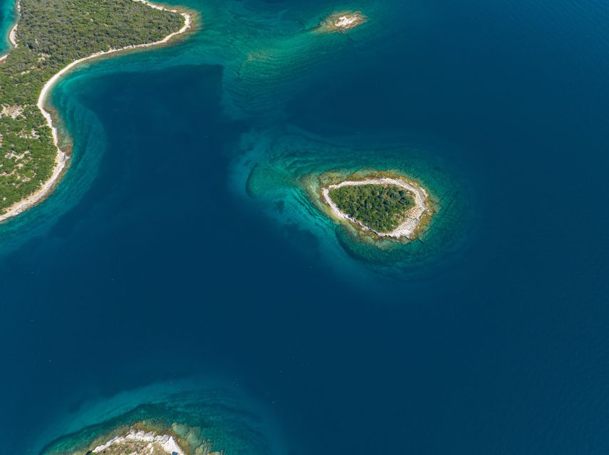 From Fažana: Private boat tour of Brijuni Islands - What the private format changes